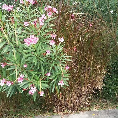 Comfy Home-Tropical Garden & 5 Min Walk To Beach 타마린 외부 사진