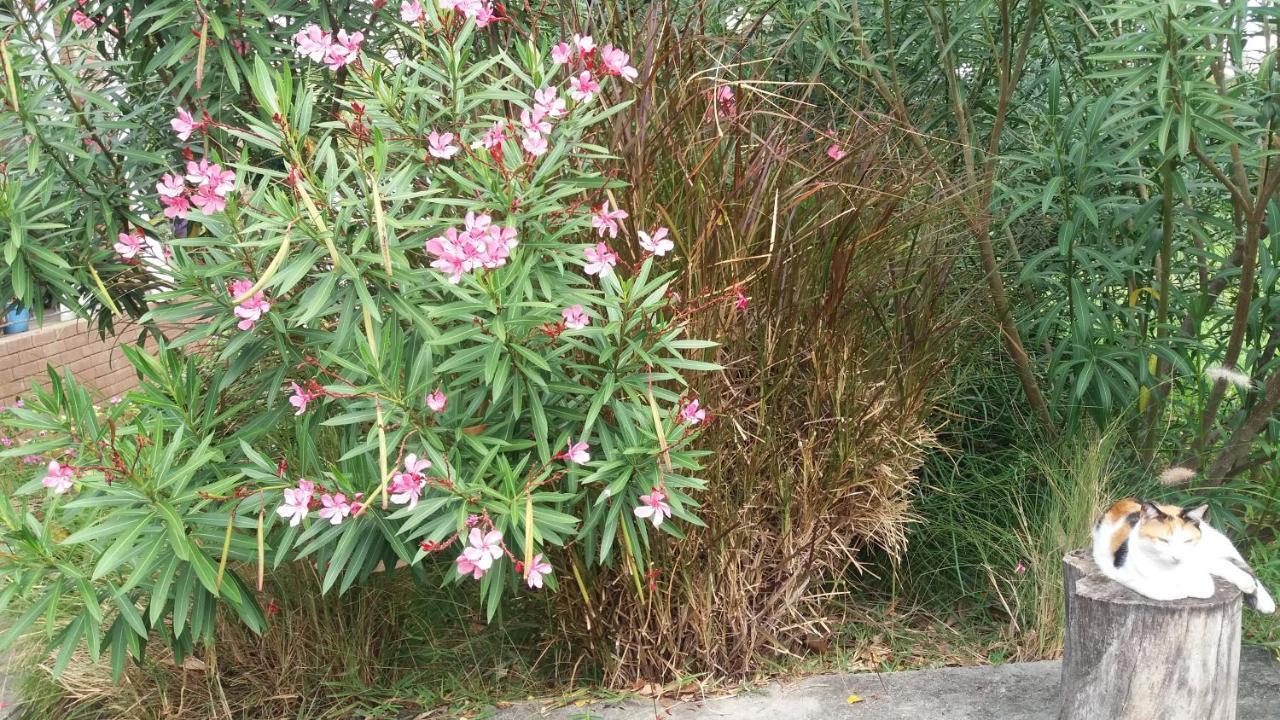 Comfy Home-Tropical Garden & 5 Min Walk To Beach 타마린 외부 사진
