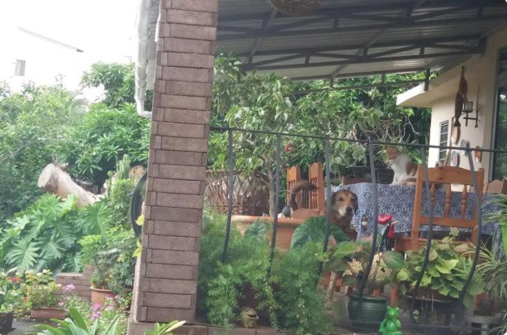 Comfy Home-Tropical Garden & 5 Min Walk To Beach 타마린 외부 사진