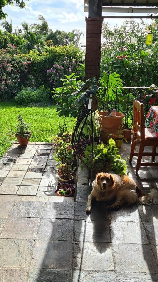 Comfy Home-Tropical Garden & 5 Min Walk To Beach 타마린 외부 사진