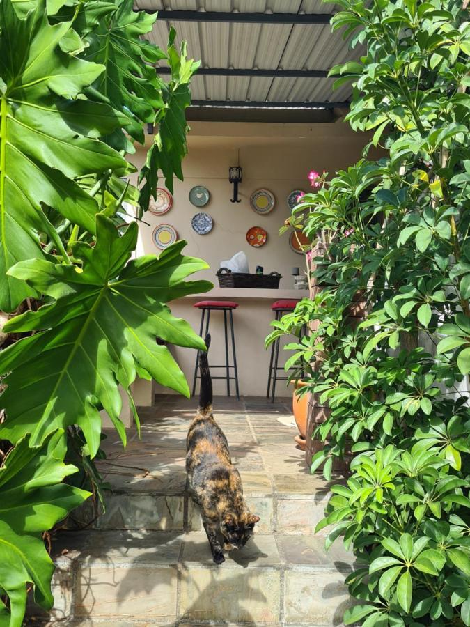Comfy Home-Tropical Garden & 5 Min Walk To Beach 타마린 외부 사진